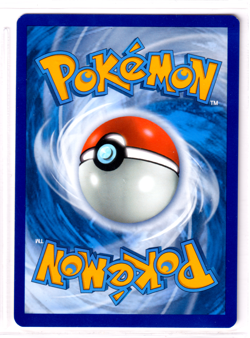 Charmander 7/68 Hidden Fates ENGLISH Common 2019 Near Mint Pokemon - Image 2