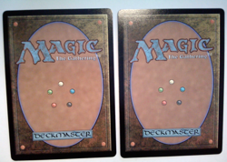 2x Camellia, the Seedmiser (Showcase) - Bloomburrow (BLB) - EN - R 0328 - Image 2