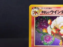 Light Arcanine Holo No.059 Neo Destiny Near Mint Japanese Pokemon Card 2001 - Image 4