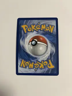 Pokemon TCG Victim 208 Black Star Promo Black And White Scarlet And Violet - Image 4
