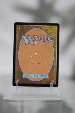 Shifting Woodland - Modern Horizons 3 Regular - Mtg - Image 2