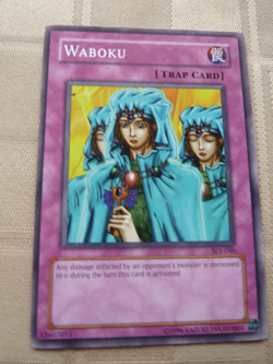 Yu-Gi-Oh Waboku SDJ-046 Unlimited Regular Common Card NM Yugioh - Image 1