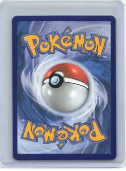 2025 Pokemon—Oricorio ex #024 Mega Evolution Promo Cards—Black Star Promo Foil - Image 2