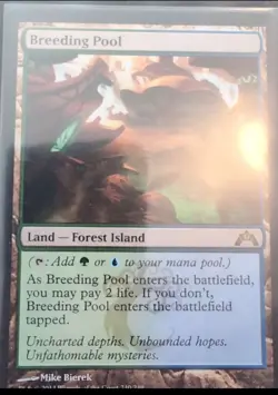 Breeding Pool - Gatecrash - MTG Magic the Gathering - LP - Image 1
