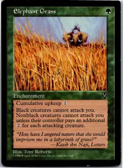 Elephant Grass U Visions LP - Image 1