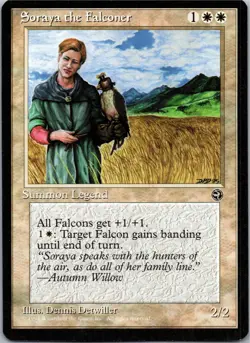Soraya the Falconer R Homelands LP - Image 1