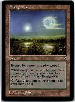 Everglades U Visions LP - Image 1