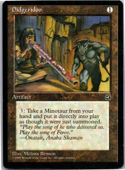 Didgeridoo R Homelands LP - Image 1