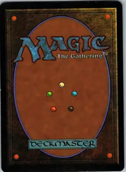 Didgeridoo R Homelands LP - Image 2