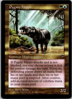 Pygmxy Hippo R Visions LP - Image 1