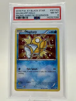2016 POKEMON XY BLACK STAR PROMO SHINY MEGA GYARADOS #XY143 MAGIKARP-HOLO PSA 8 - Image 1