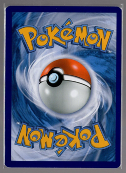 Oshawott SWSH222 Holographic Black Star Promo Pokemon TCG Near Mint - Image 2