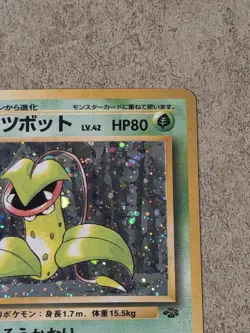 [ NM ] Victreebel Jungle Holo Rare Stage 2 071/1996 Japanese Pokemon Card - Image 2