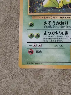 [ NM ] Victreebel Jungle Holo Rare Stage 2 071/1996 Japanese Pokemon Card - Image 4