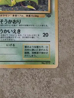 [ NM ] Victreebel Jungle Holo Rare Stage 2 071/1996 Japanese Pokemon Card - Image 5