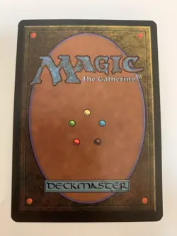 MTG NM Dandan Chronicles - Image 2