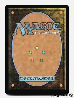 Forest (Surge Foil) 0314 TMT [Teenage Mutant Ninja Turtles] TMNT MTG NM 🌳 - Image 2