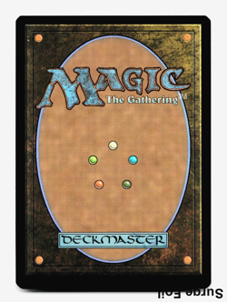 Forest (Surge Foil) 0309 TMT [Teenage Mutant Ninja Turtles] TMNT MTG NM 🌳 - Image 4
