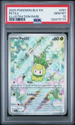 Petilil 091/086 and PETILIL 006/086 MASTER BALL - Both PSA 10 (2 CARDS) - Image 1