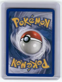 Smeargle Aquapolis Common Pokemon Near Mint or Better - Image 2