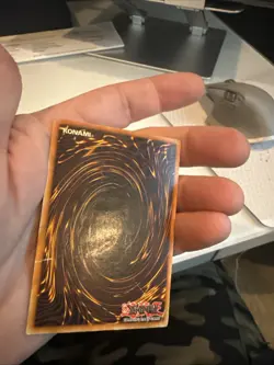Yugioh Dark Paladin Holo Limited Edition DMG001 - Image 3