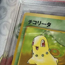 1999 Pokemon Neo 1: Gold, Silver, To A New World Chikorita Japanese #152 PSA 10 - Image 3