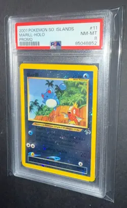 2001 Pokemon Southern Islands Promo #11 MARILL Swirl 🌀 English Holo PSA 8 - Image 4
