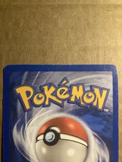 Shuckle Pokemon Card Skyridge 96/144 MP - Image 5