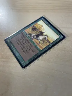 Whirling Dervish Legends Regular - Image 3