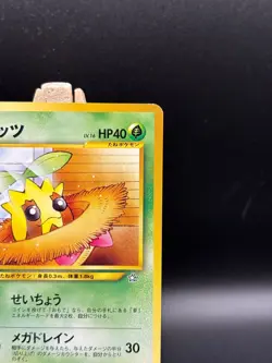 Pokemon - Japanese Sunkern 191 Gold, Silver, New World LP Japanese #191 - Image 4