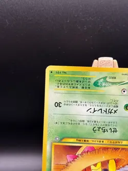 Pokemon - Japanese Sunkern 191 Gold, Silver, New World LP Japanese #191 - Image 5