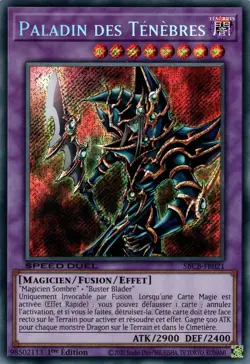 Yu-Gi-Oh : Paladin des Tenebres - SBCB-FR021 - Secret Rare - NM - FR - Image 1