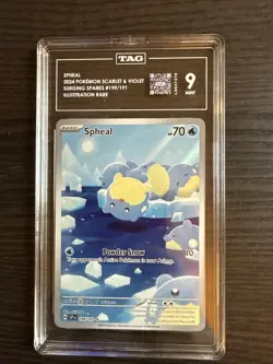 Spheal 199/191 Illustration Rare 2024 Pokemon Surging Sparks TAG 9 Mint - Image 1