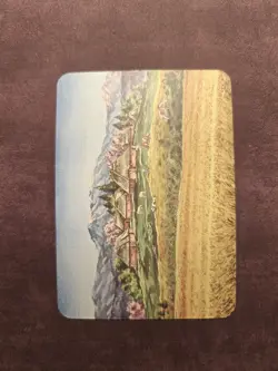 Humble Village (Foil) - Sorcery: Contested Realm Alpha - Image 2