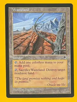 MTG WASTELAND Tempest (OldManMTG 012-776) - Image 1