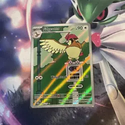 Pokemon SV03: Obsidian Flames Pidgeotto 208/197 Illustration Rare English NM - Image 1