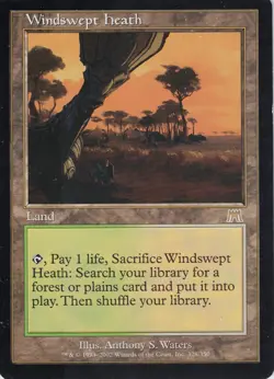 Windswept Heath - Onslaught - Magic the Gathering - MTG - Image 1