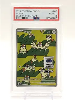 PIDGEY 2023 POKEMON S&V OBSIDIAN FLAMES ILLUSTRATION RARE 207/197 PSA 8 Q5677 - Image 1