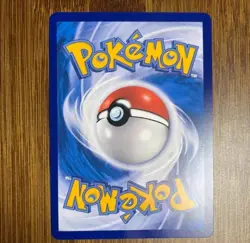 Pokemon Chinese Guzma＆Hala Trainer Card CSM2bC-179 SR Holo NM Sun&Moon IN STOCK - Image 2