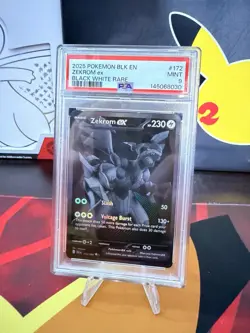 Zekrom Ex 172/086 - Pokemon Black Bolt Holo - Graded - PSA 9 - Image 1