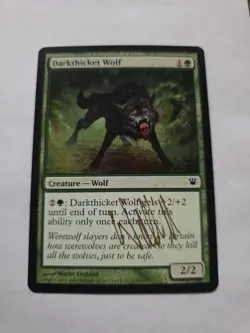 Darkthicket Wolf Artist Proof SIGNED By Wayne England Mtg - Image 1
