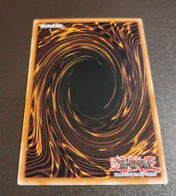 Yu-Gi-Oh! Arcanite Magician (Green) (Italian) -DL14-IT009- Rare - Unlimited NM! - Image 3