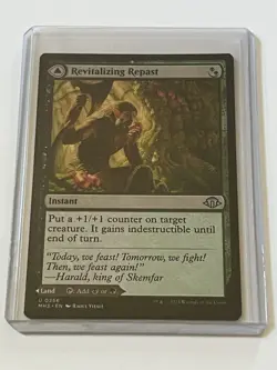 Revitalizing Repast / Old Growth Grove 256 MTG MH3 2024 Mint - 9.0 + Non Foil - Image 1
