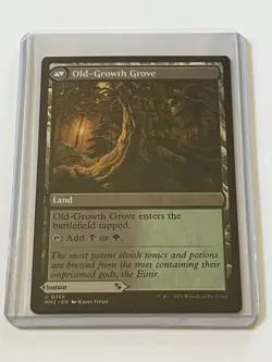Revitalizing Repast / Old Growth Grove 256 MTG MH3 2024 Mint - 9.0 + Non Foil - Image 2