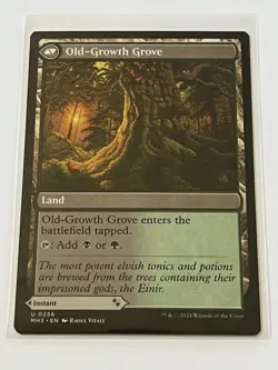 Revitalizing Repast / Old Growth Grove 256 MTG MH3 2024 Mint - 9.0 + Non Foil - Image 4