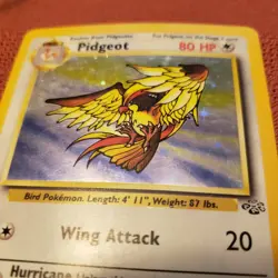 Pidgeot 08/64 Jungle Holo Pokemon card LP amazing condition - Image 2