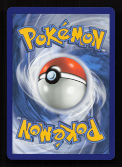 Tepig McDonald's Promos 13/25 Holo Promo Card 2021 - Image 2