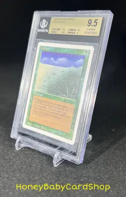 MTG 3rd Edition Revised 1994 Lifelace BGS 9.5 GEM MINT Old School 93/94 - Image 3