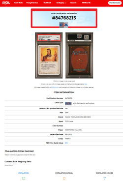 1994 MtG Magic the Gathering Revised Northern Paladin PSA 9 Only 7 Graded Higher - Image 3