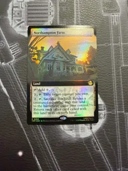 Northampton Farm Teenage Mutant Ninja Turtles Rare - Image 1